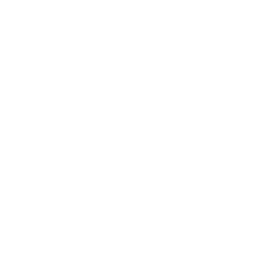 Logo NSP